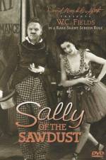 Watch Sally of the Sawdust Myflixer
