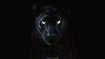 Watch The Real Black Panther (Short 2020) Myflixer