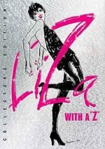 Watch Liza with a Z (TV Special 1972) Myflixer