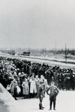 Watch AUSCHWITZ: SURPRISING BEGINNINGS Myflixer