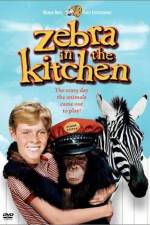 Watch Zebra in the Kitchen Myflixer