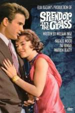 Watch Splendor in the Grass Myflixer