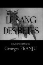 Watch Blood of the Beasts (Short 1949) Myflixer