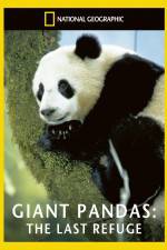 Watch National Geographic Giant Pandas The Last Refuge Myflixer