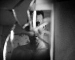 Watch Remember Me, My Ghost (Short 2011) Myflixer
