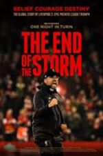 Watch The End of the Storm Myflixer