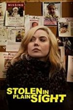 Watch Stolen in Plain Sight Myflixer