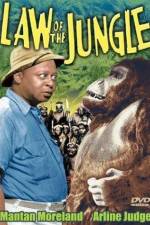 Watch Law of the Jungle Myflixer