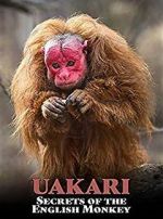Watch Uakari: Secrets of the English Monkey Myflixer