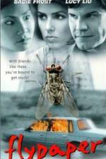 Watch Flypaper Myflixer
