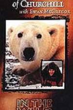 Watch The Polar Bears of Churchill with Ewan McGregor Myflixer