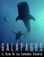 Watch Galapagos: Realm of Giant Sharks Myflixer