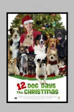 Watch 12 Dog Days of Christmas Myflixer