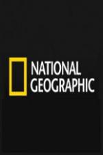Watch National Geographic Wild Predator CSI Zombie Sealions Myflixer
