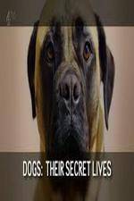 Watch Dogs: Their Secret Lives Myflixer