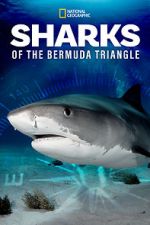 Watch Sharks of the Bermuda Triangle (TV Special 2020) Myflixer