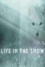 Watch Life in the Snow Myflixer