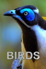 Watch Birds (Short 2021) Myflixer