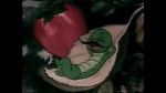 Watch The Wacky Worm (Short 1941) Myflixer