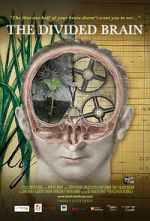Watch The Divided Brain Myflixer