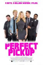 Watch The Perfect Pickup Myflixer