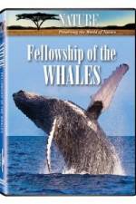 Watch Fellowship Of The Whales Myflixer