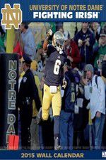Watch The Fighting Irish Myflixer
