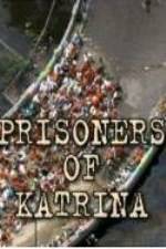 Watch Prisoners of Katrina Myflixer