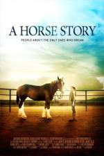 Watch A Horse Story Myflixer