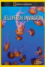 Watch National Geographic: Wild Jellyfish invasion Myflixer