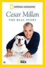 Watch Cesar Millan: The Real Story Myflixer