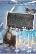 Watch Shorts for Cats Myflixer