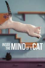 Watch Inside the Mind of a Cat Myflixer