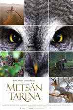 Watch Tale of a Forest Myflixer