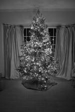 Watch The Christmas Miracle Myflixer