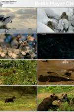 Watch National Geographic: Japans Hidden Secrets Myflixer