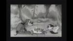Watch Bosko\'s Dog Race Myflixer