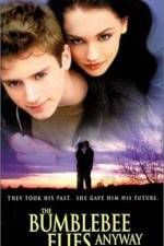 Watch The Bumblebee Flies Anyway Myflixer