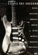 Watch A Tribute to Stevie Ray Vaughan Myflixer