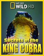 Watch Secrets of the King Cobra Myflixer
