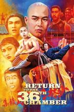 Watch Return to the 36th Chamber Myflixer