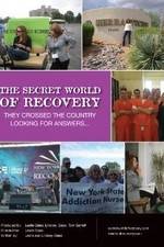Watch The Secret World of Recovery Myflixer