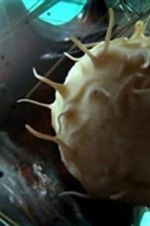 Watch Our Secret Universe: The Hidden Life of the Cell Myflixer