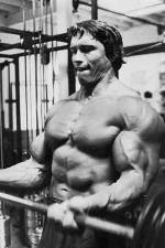 Watch The Comeback Myflixer