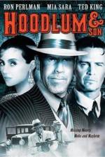 Watch Hoodlum & Son Myflixer