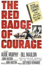 Watch The Red Badge of Courage Myflixer