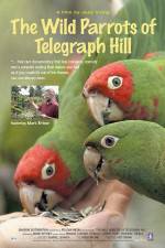 Watch The Wild Parrots of Telegraph Hill Myflixer