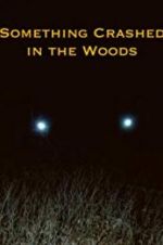 Watch Something Crashed in the Woods Myflixer