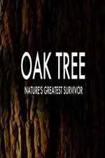Watch Oak Tree Natures Greatest Survivor Myflixer