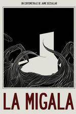 Watch The Bird Spider Myflixer